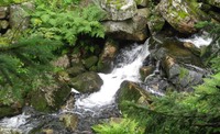 IMG 2662 - Version 2