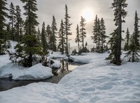 pexels-souvenirpixels-1552212